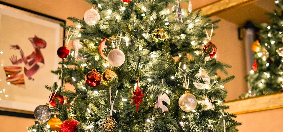 L'albero di Natale ora è a prova di gatto
